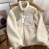 DERMEARNE Autumn and Winter Japanese Men's and Women's Fleece Stand Neck Jacket Couple Zipper Loose Warm Lamb Wool Coat Solid Color Jacket
