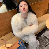 DERMEARNE Faux Fur Coat Womens Clothing 2025 New Fashion Casual Imitation Fox Fur Coat Female  Short Loose Comfortable Winter Jacket