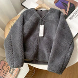 DERMEARNE Korean Version Autumn Winter Women's New Coat Soft Lamb Wool V-Neck Zipper Thicken Warm Fleece Jacket Solid Texture Short Coat