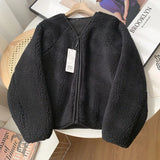 DERMEARNE Korean Version Autumn Winter Women's New Coat Soft Lamb Wool V-Neck Zipper Thicken Warm Fleece Jacket Solid Texture Short Coat
