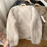 DERMEARNE Korean Version Autumn Winter Women's New Coat Soft Lamb Wool V-Neck Zipper Thicken Warm Fleece Jacket Solid Texture Short Coat