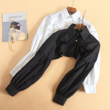 Dermearne Women Puff Long Sleeve T Shirts Short Top Blouse Ruffled Button Detachable Spread Collar Sweater Decorative Accessories T Shirt