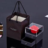 Dermearne Projection Necklace Set With Rose Gift Box 100 Languages I Love You Heart Pendant Jewelry Hot Sale Accessories Dropshipping